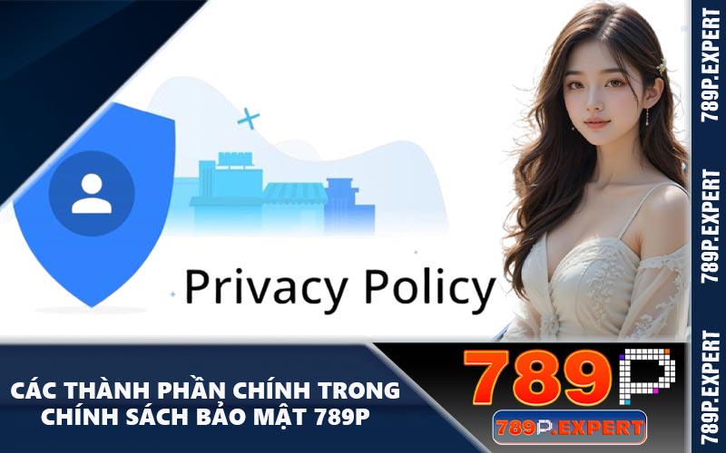 Các thành phần chính trong chính sách bảo mật 789P