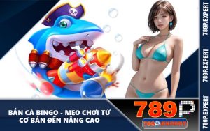 Bắn Cá Bingo - Mẹo Chơi Từ Cơ Bản Đến Nâng Cao